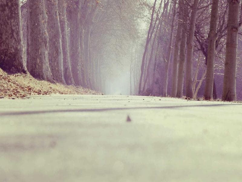 VICTRIP®R6 Off Road Ebike