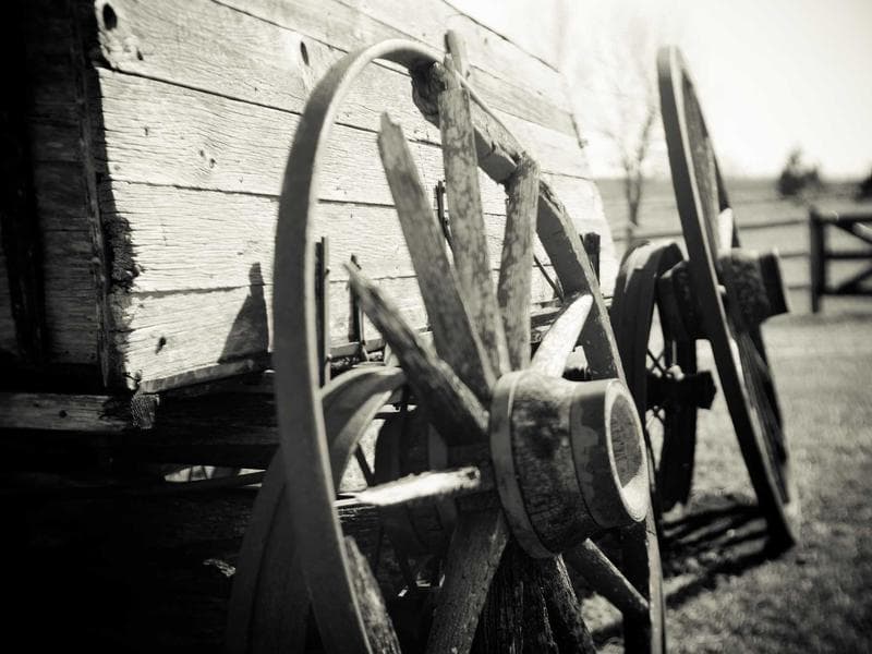 VICTRIP®R7 Off Road Ebike11